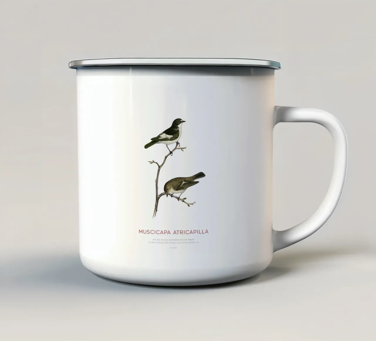 European pied flycatcher or Muscicapa atricapilla enamel mug by Vintagrafica