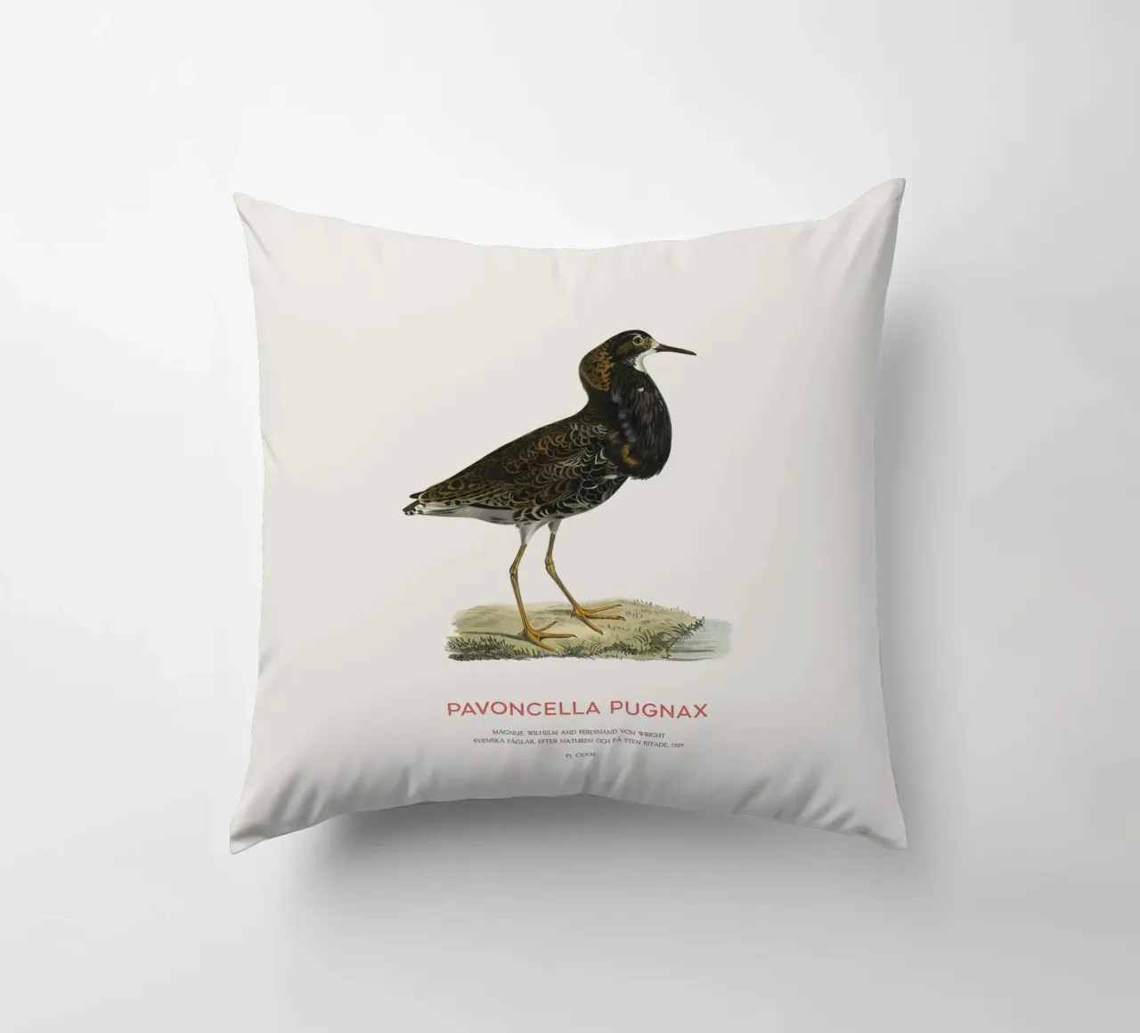 Ruff bird or Pavoncella pugnax cuscino da Vintagrafica
