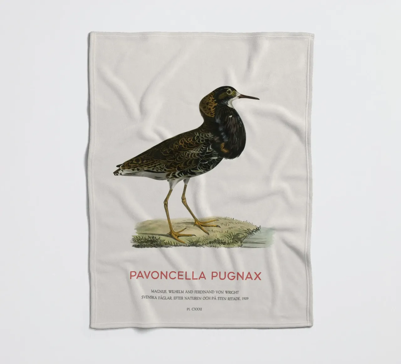 Ruff bird or Pavoncella pugnax coperta in pile da Vintagrafica