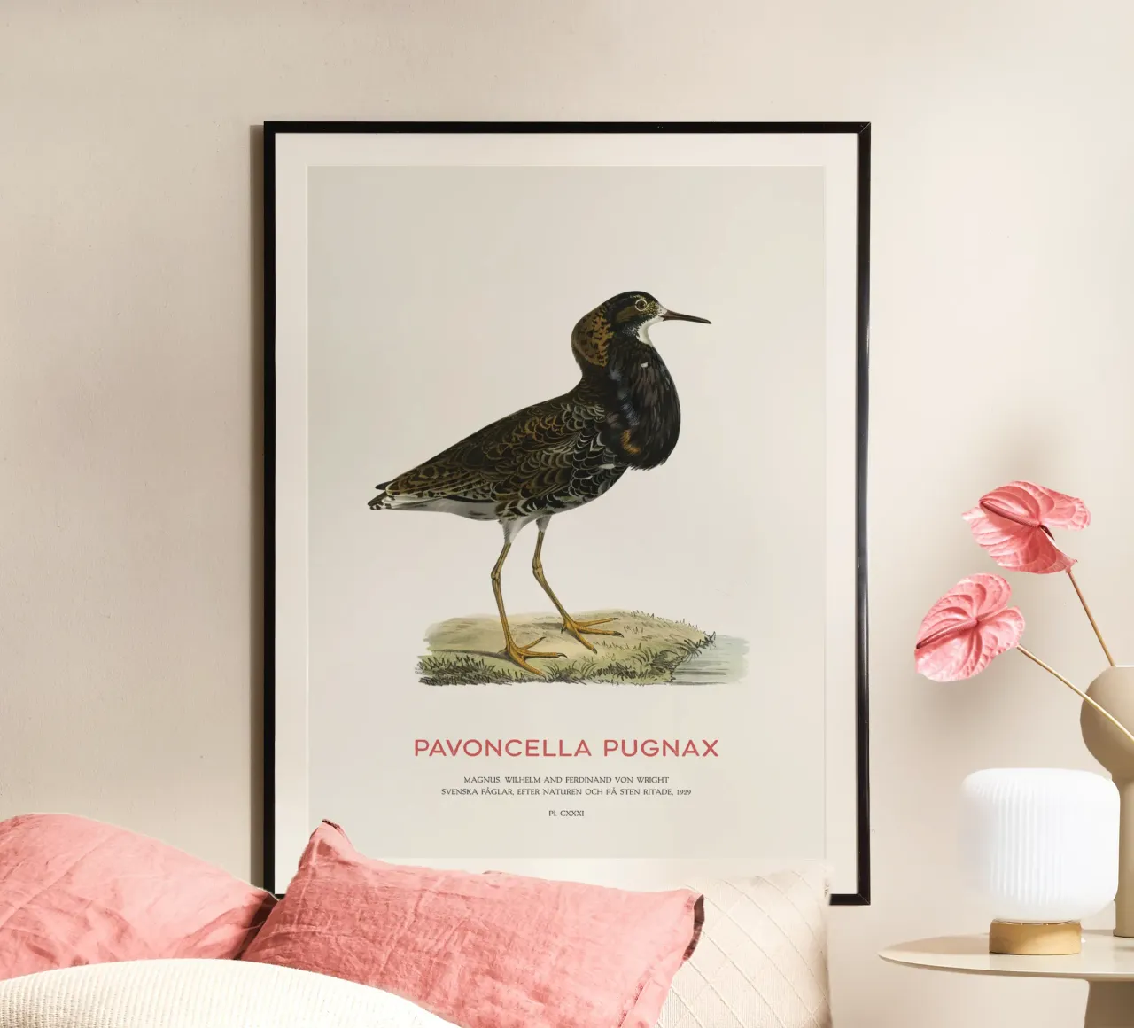 Oiseau huppé ou Vanneau pugnace poster de Vintagrafica