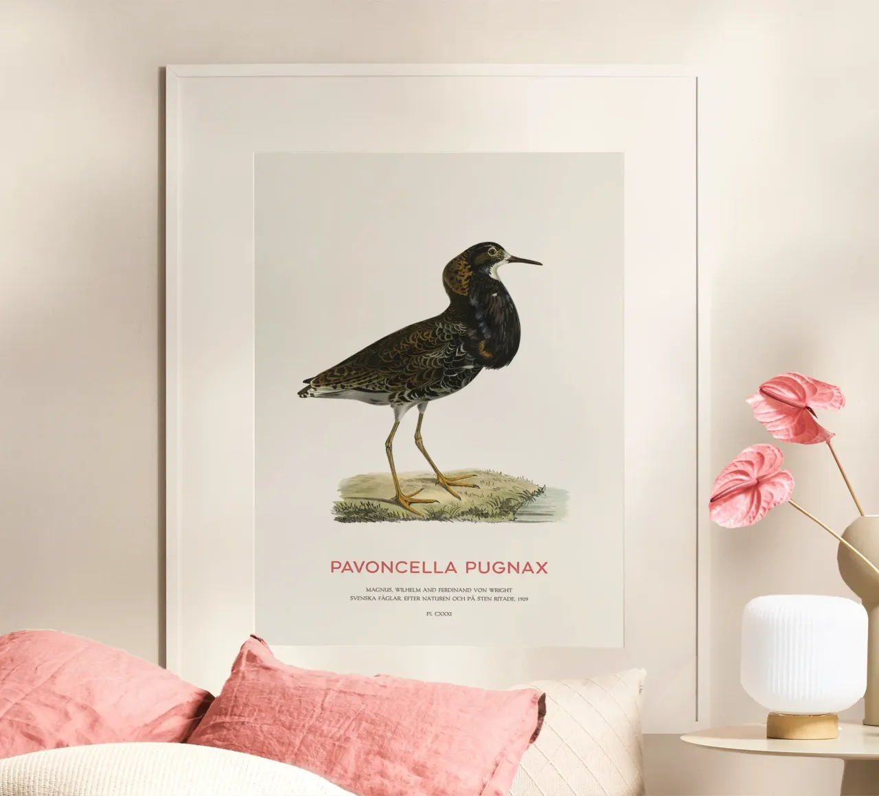 Oiseau huppé ou Vanneau pugnace poster de Vintagrafica