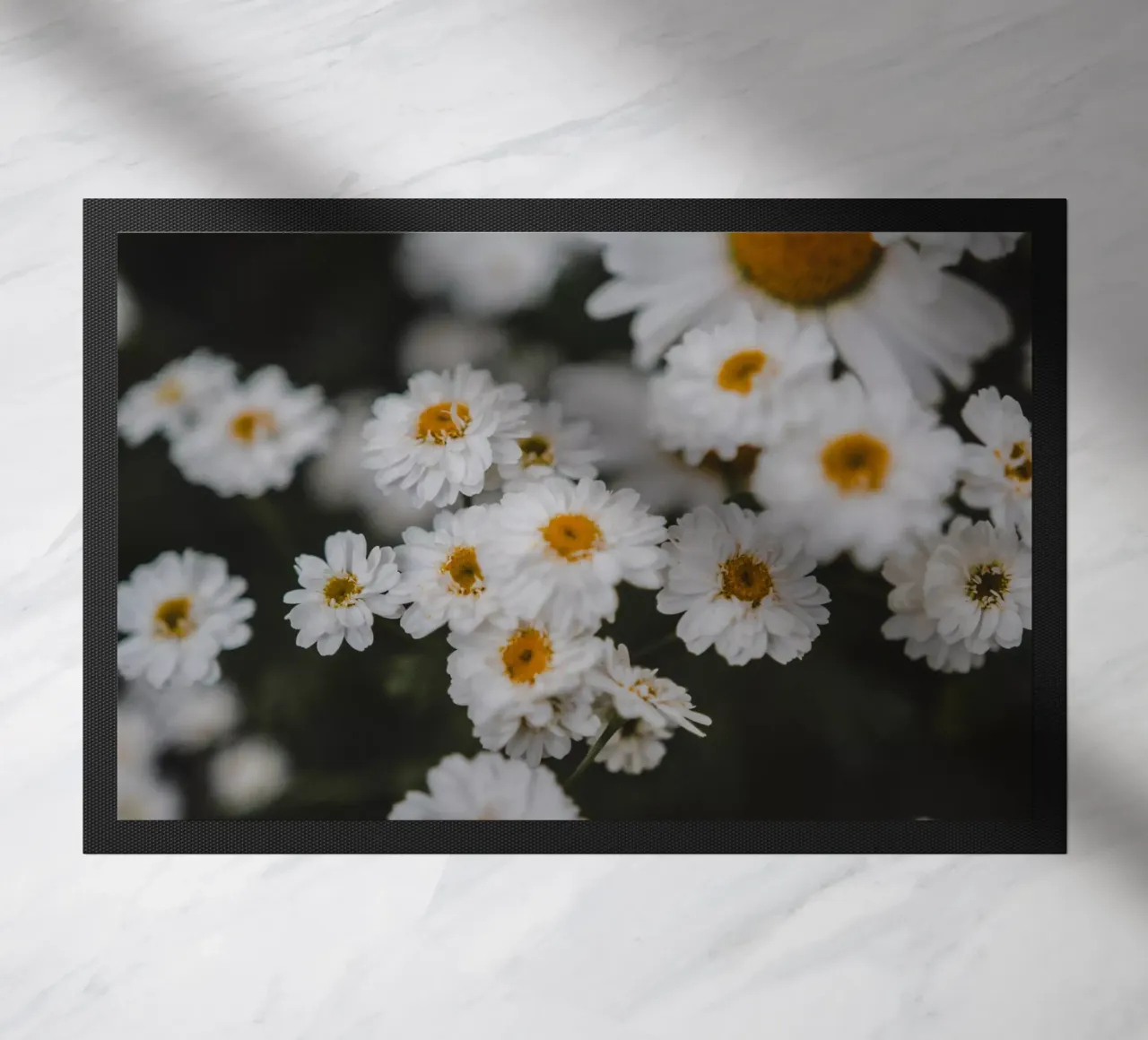 Fiore bianco e giallo zerbino da Sibbershusum