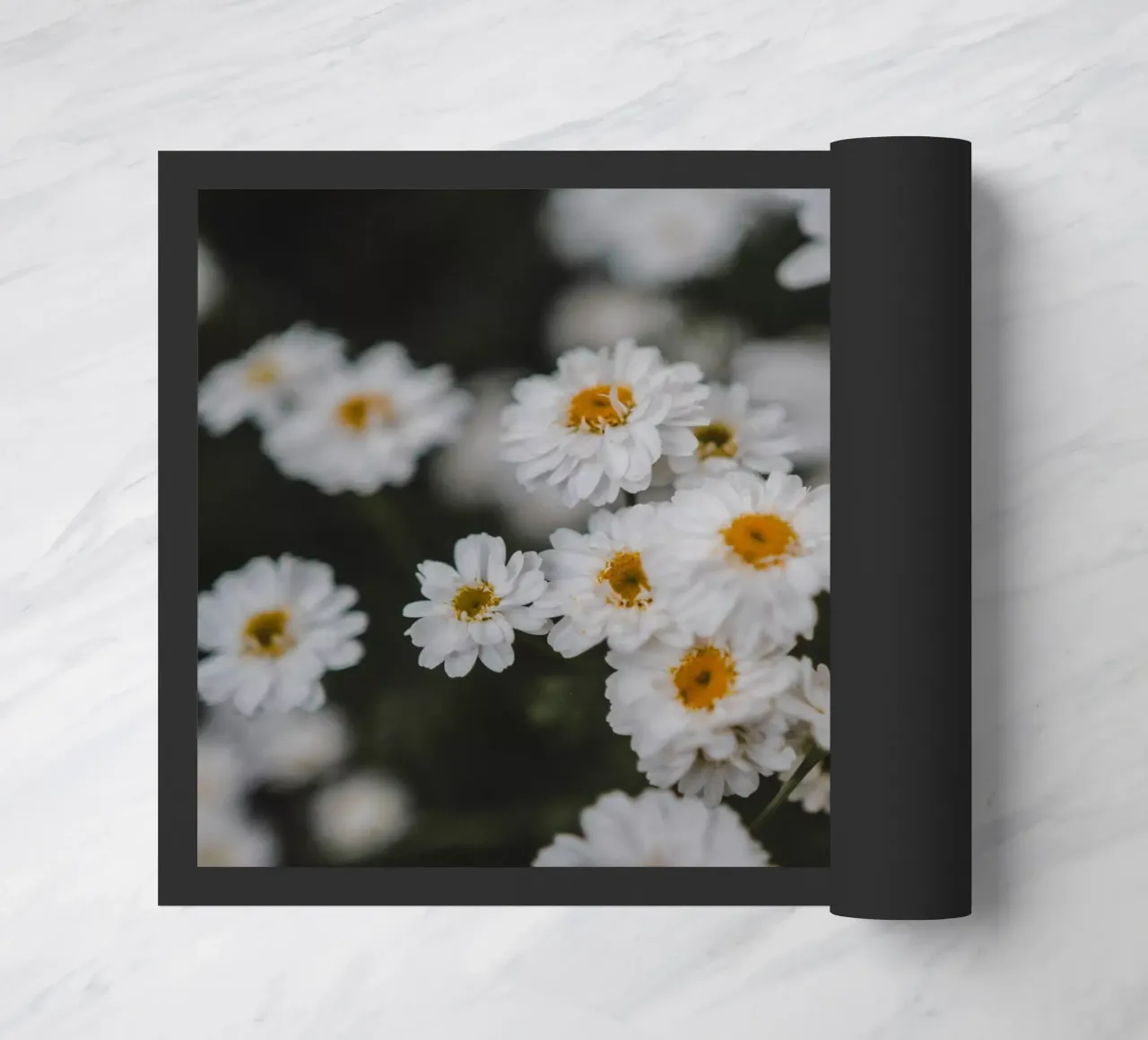 Fiore bianco e giallo zerbino da Sibbershusum