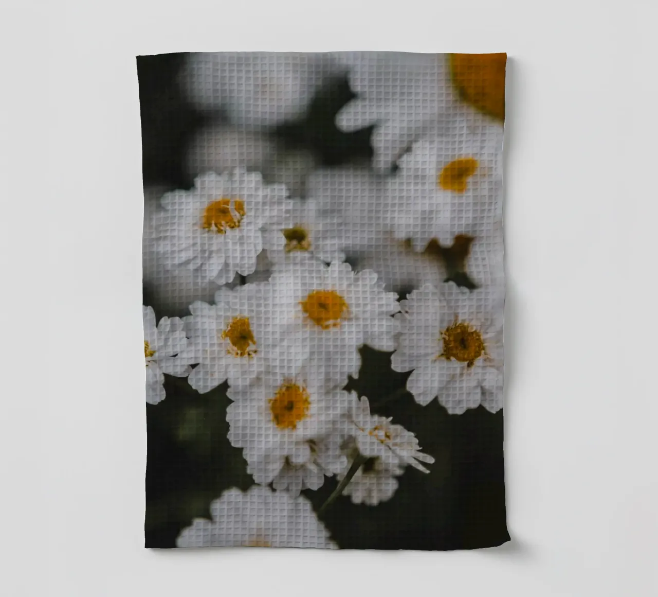 Fleur blanche et jaune torchon de Sibbershusum