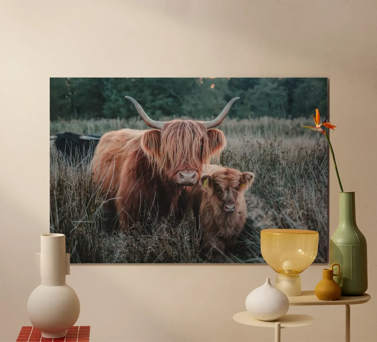 Cruella und Lilly 🐮 Hochland Kuh und Kalb poster with wooden frame by Sibbershusum