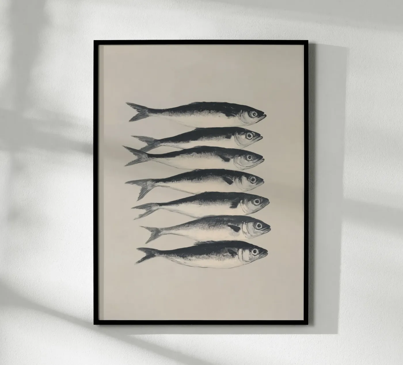 Sette sardine poster da Carinaprint