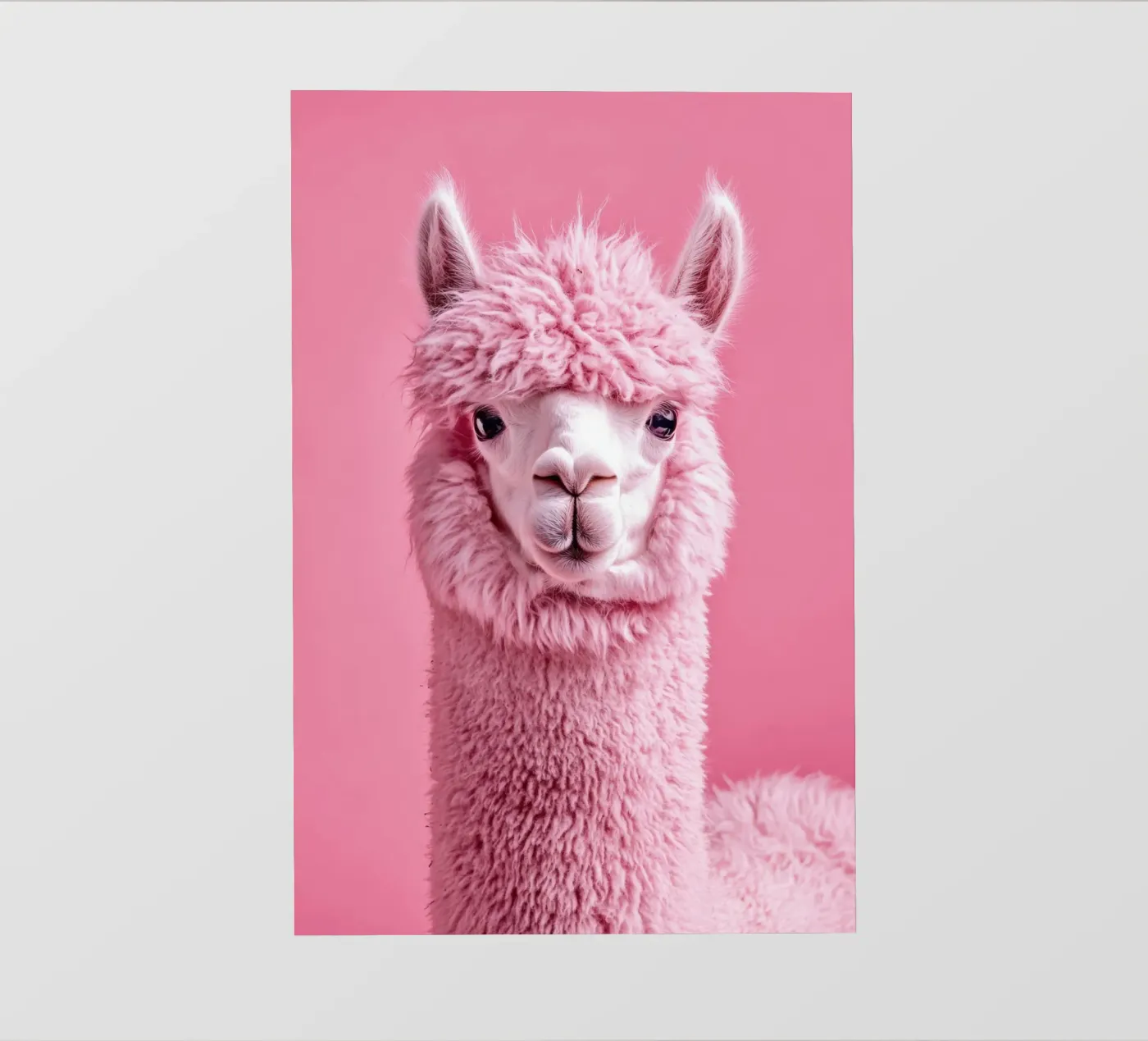 Alpaca pellicola backlit da Art Unleashed