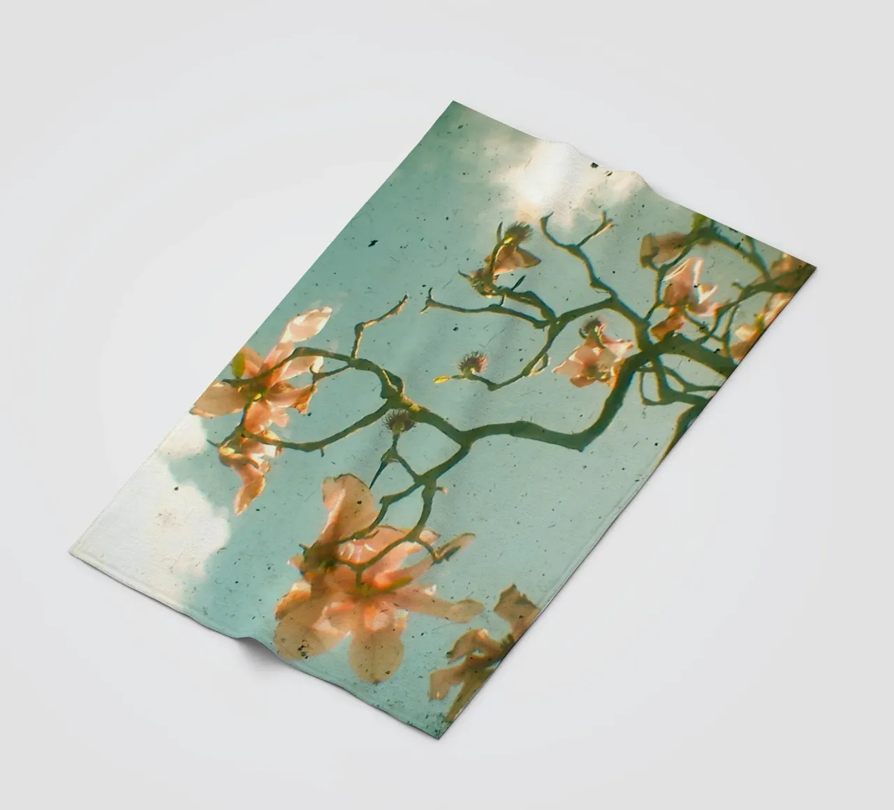 Sweet Magnolia fleece blanket by Cassia Beck Photography