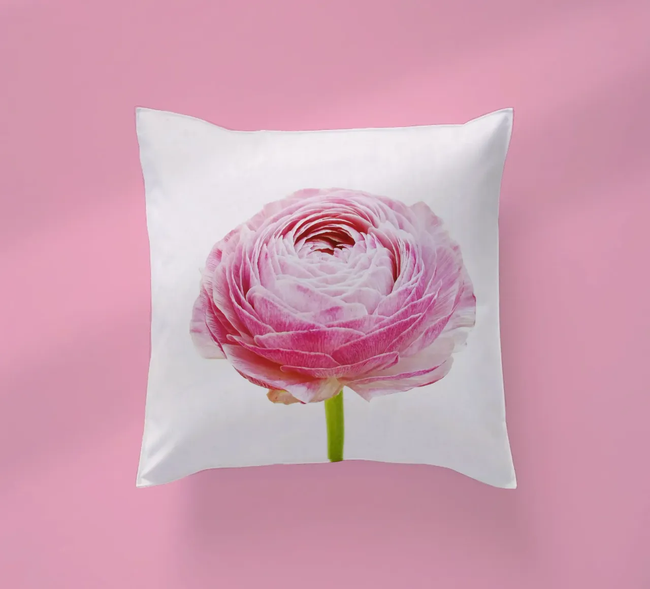 Ranunculus decorative cushion by Cassia Beck Photography