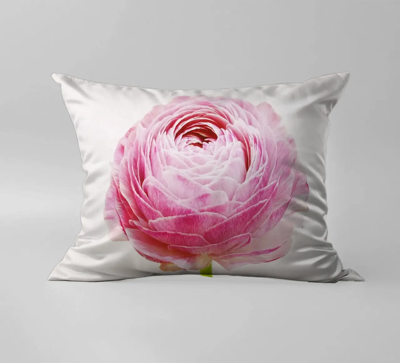 Ranunculus decorative cushion by Cassia Beck Photography