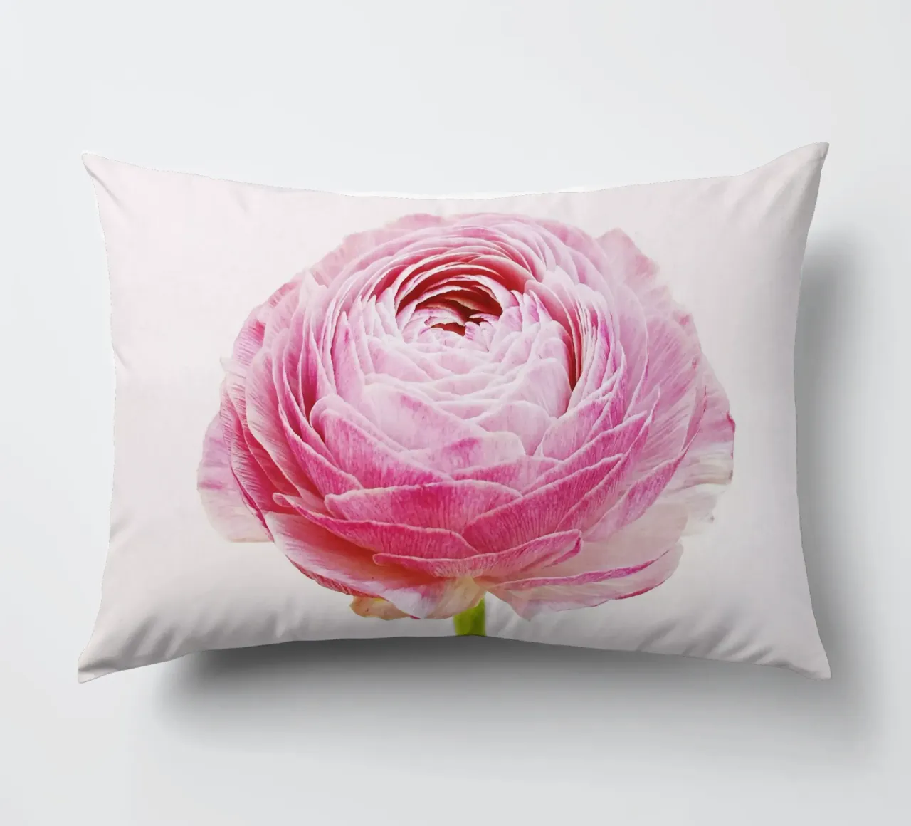 Ranunculus decorative cushion by Cassia Beck Photography