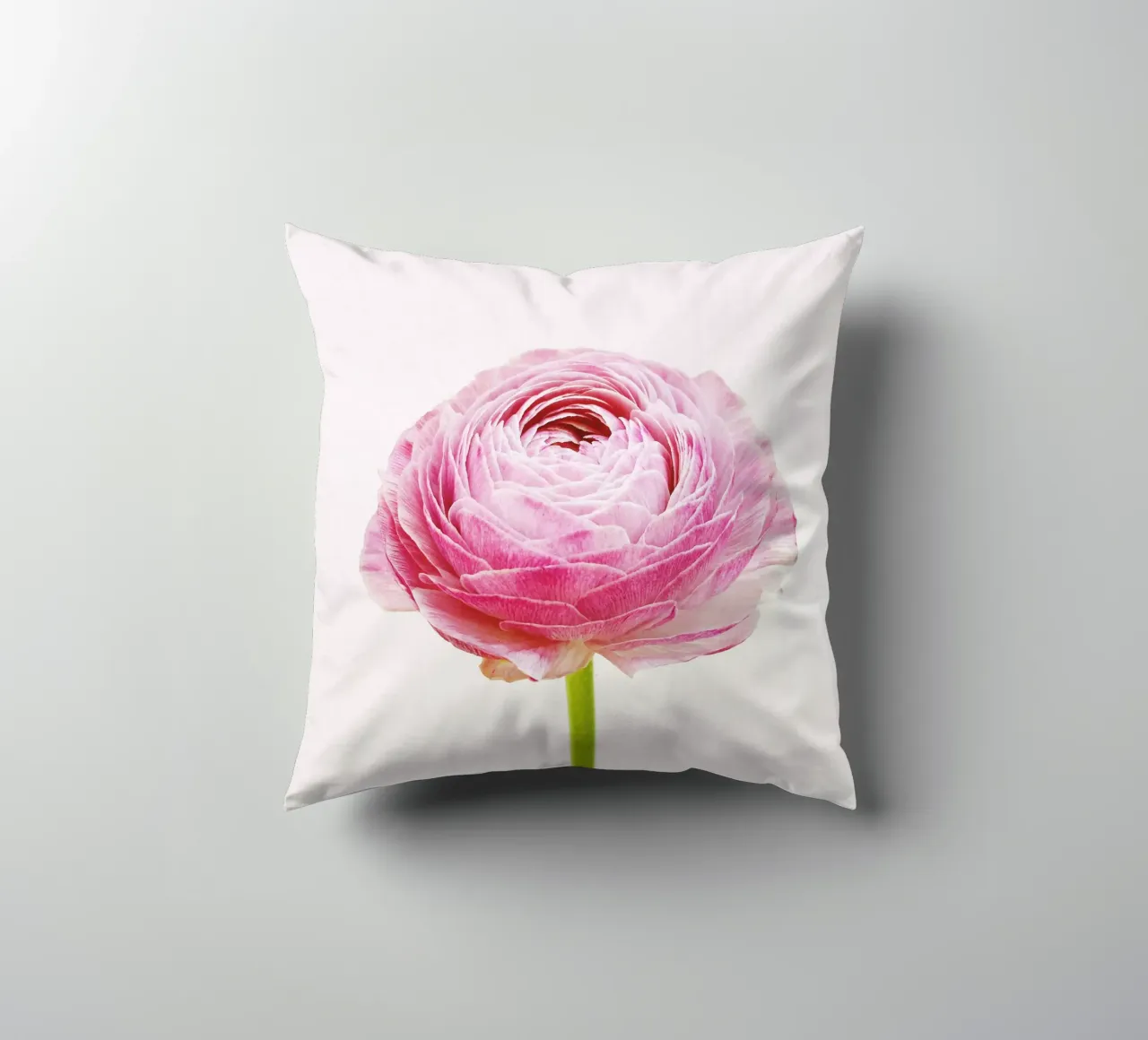 Ranunculus decorative cushion by Cassia Beck Photography