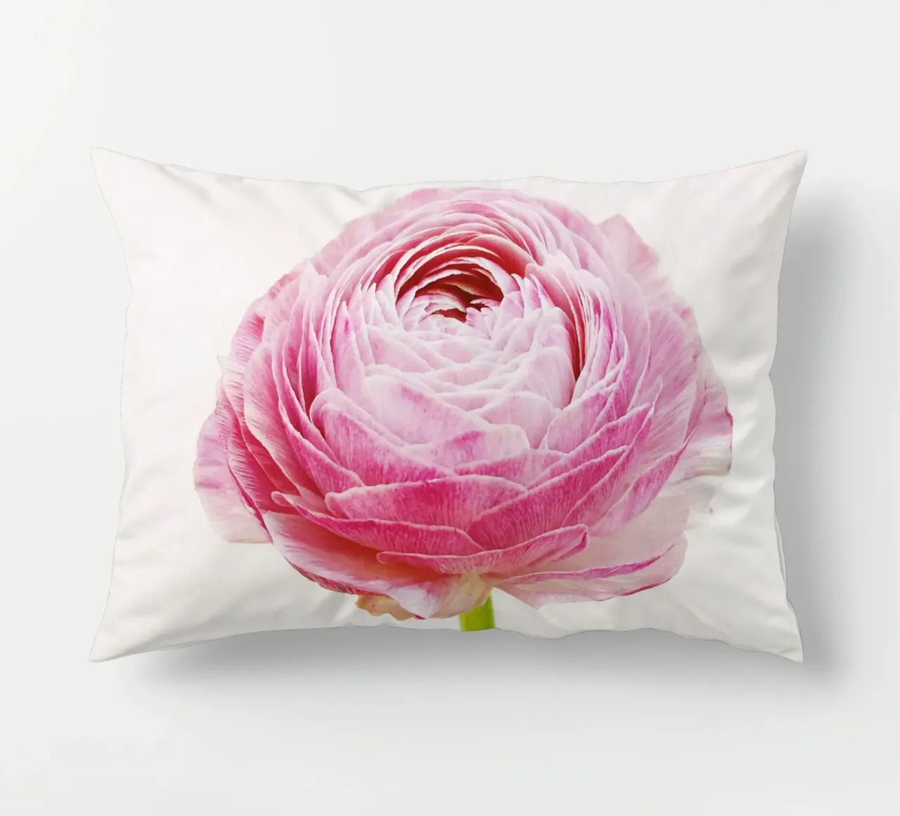 Ranunculus decorative cushion by Cassia Beck Photography
