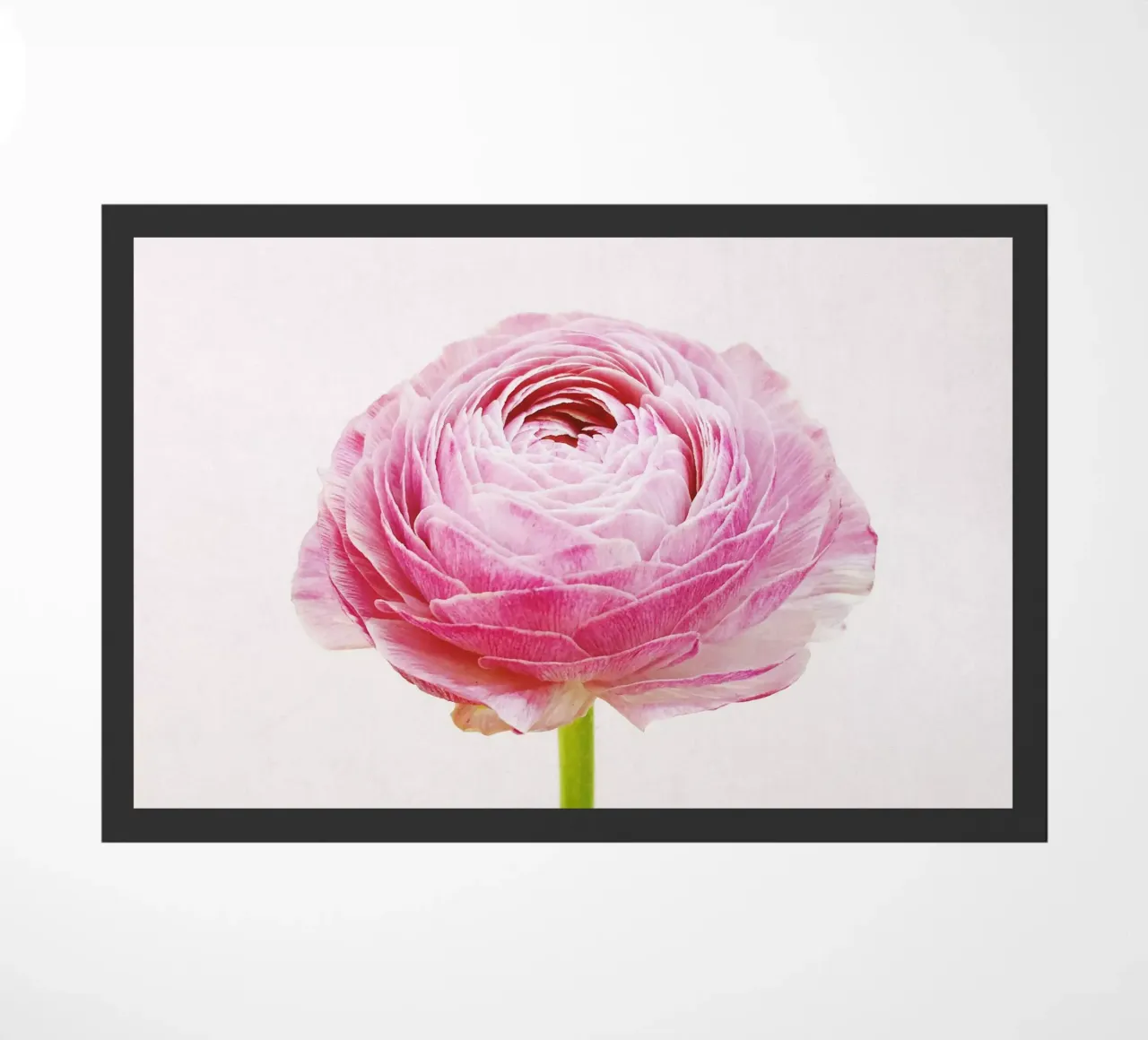 Ranunculus doormat by Cassia Beck Photography