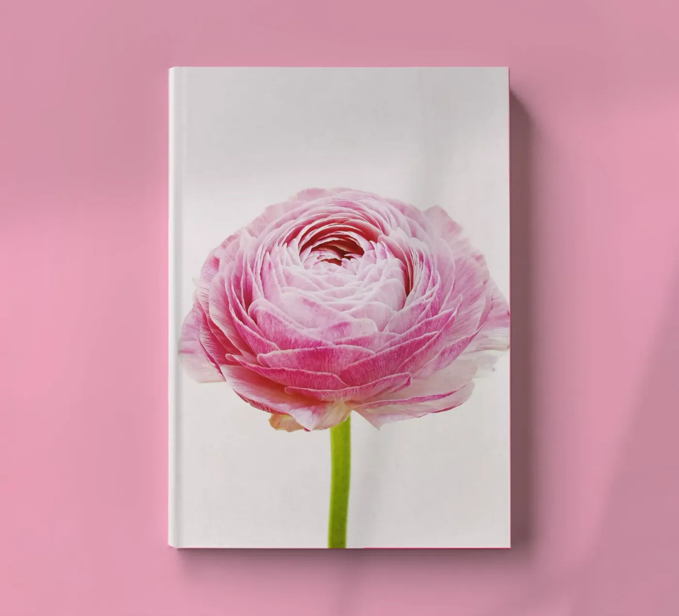 Ranunculus notebook by Cassia Beck Photography