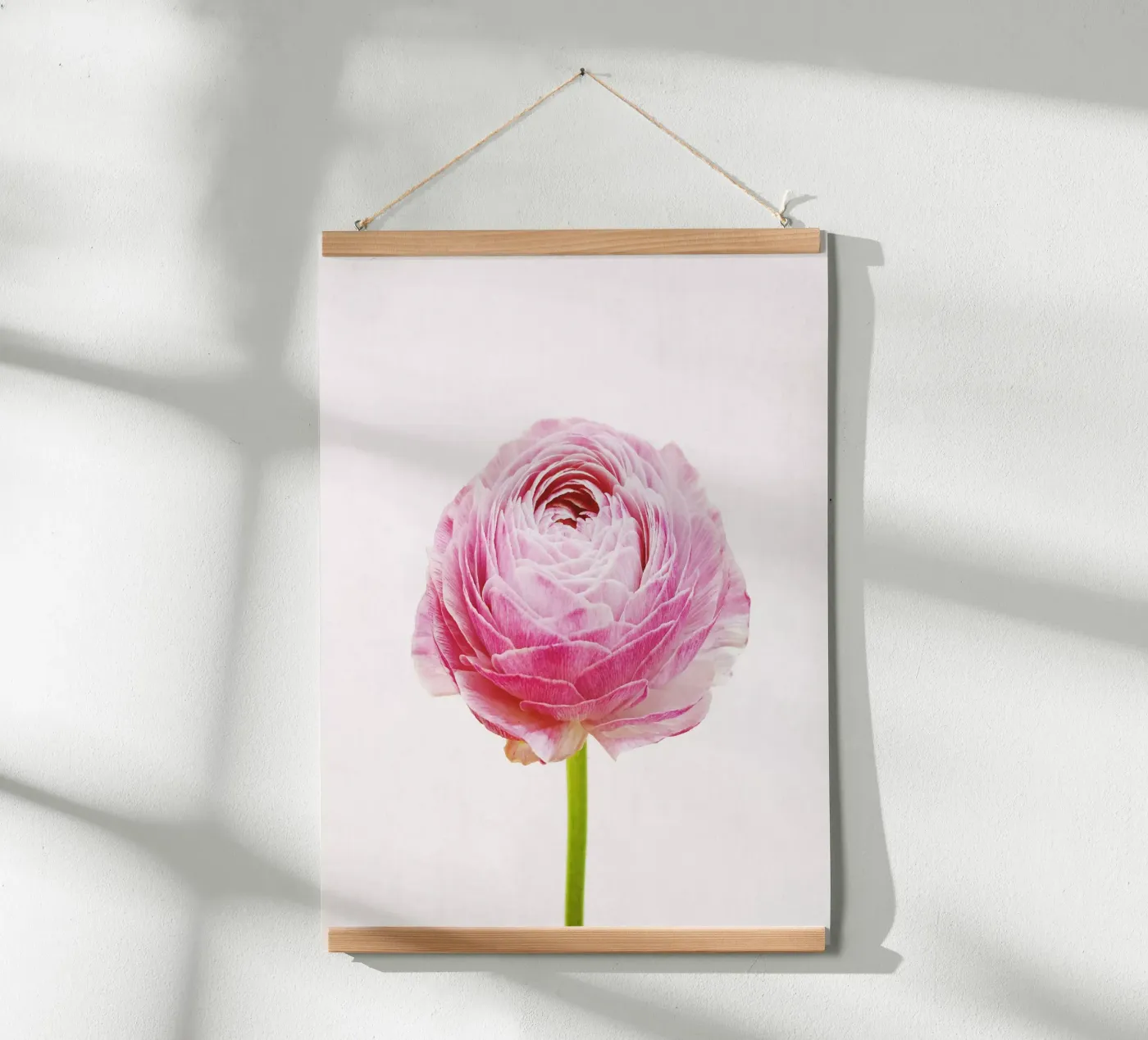 Ranonkel poster van Cassia Beck Photography