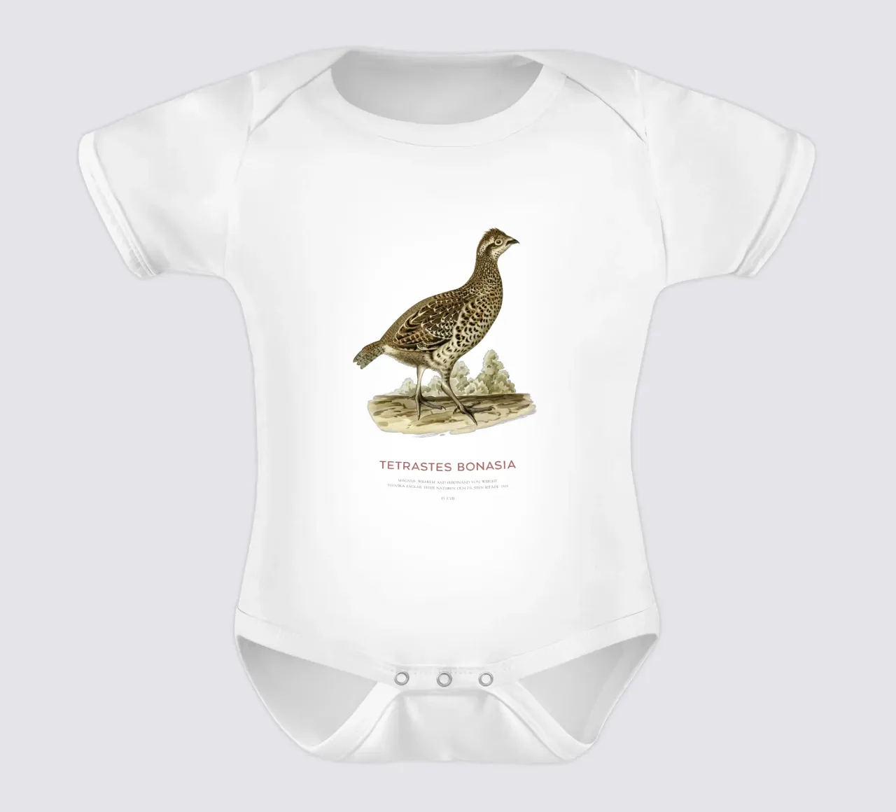 Haselhuhn oder Tetrastes bonasia Kurzarm Babybody von Vintagrafica