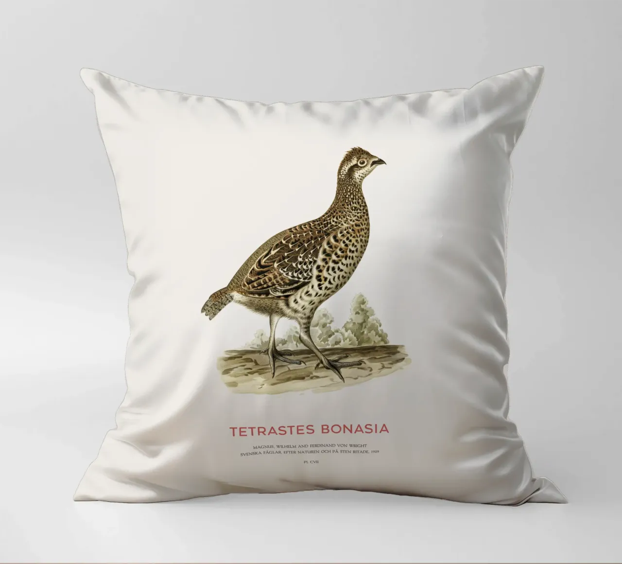 Fagiano di monte o Tetrastes bonasia cuscino da Vintagrafica