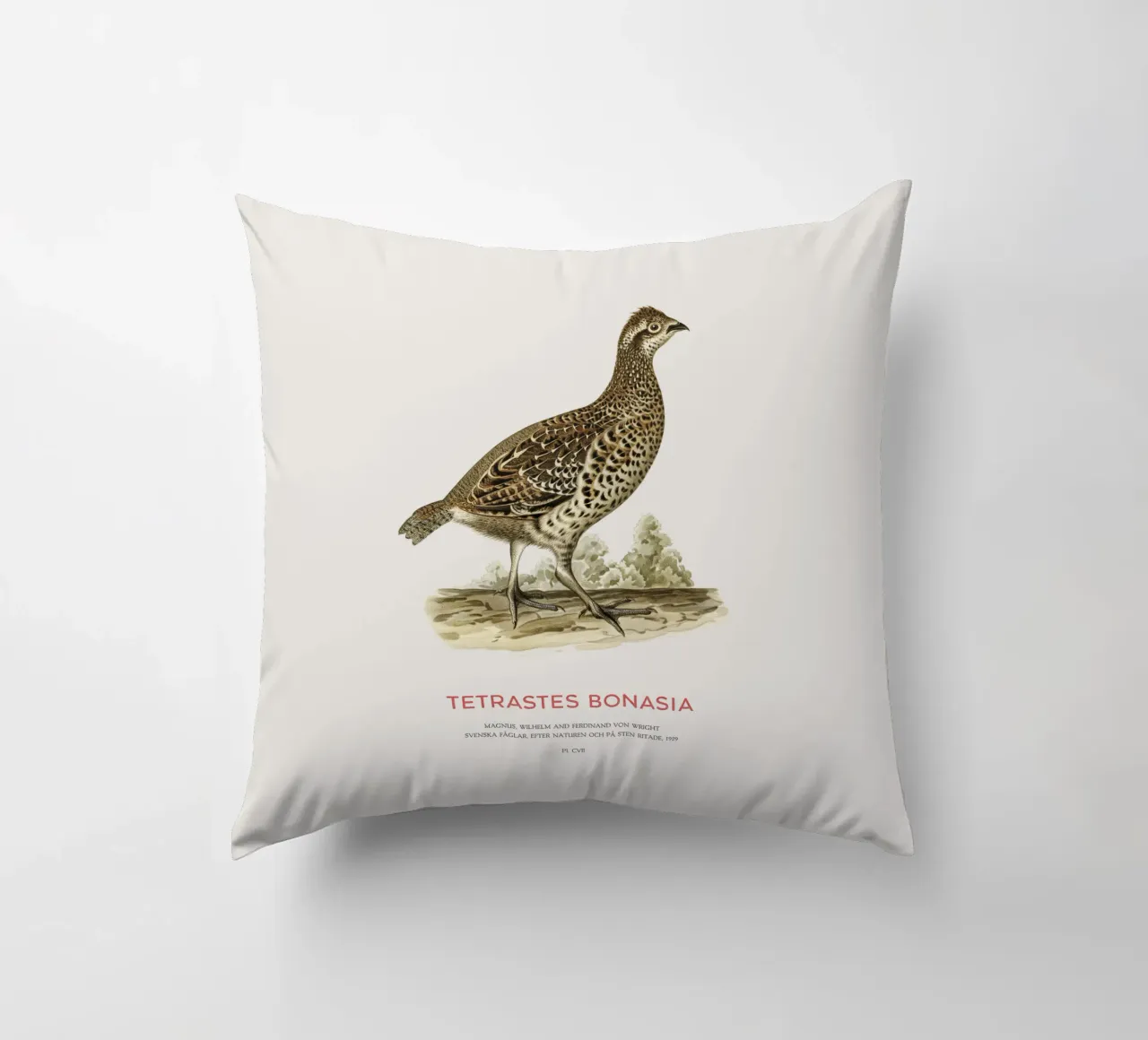 Fagiano di monte o Tetrastes bonasia cuscino da Vintagrafica