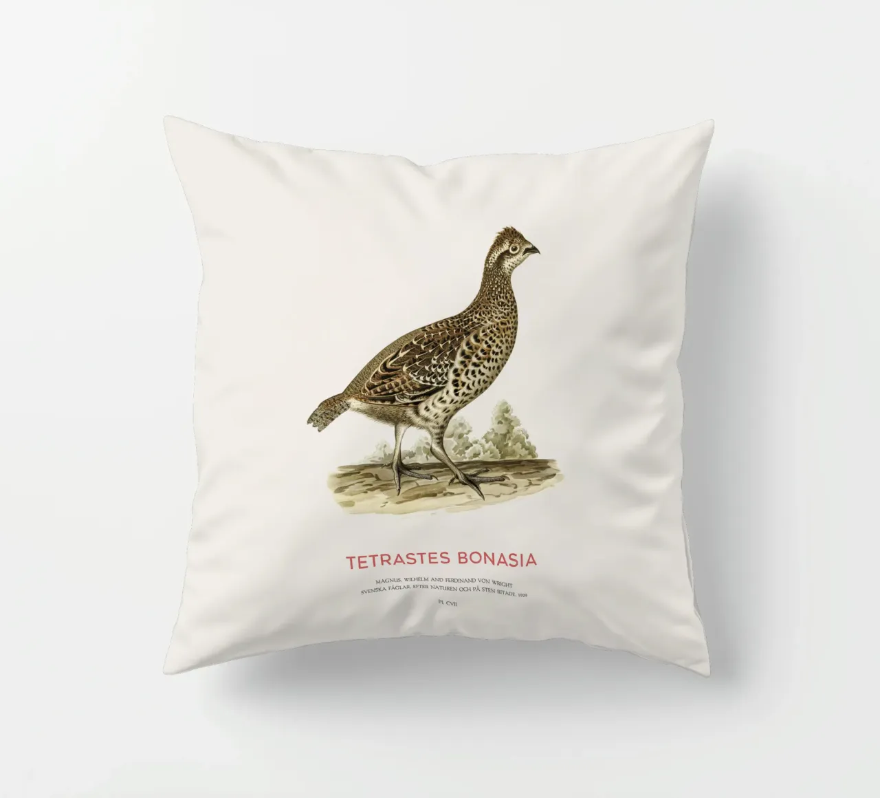 Fagiano di monte o Tetrastes bonasia cuscino da Vintagrafica
