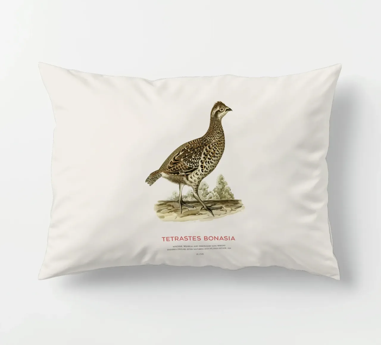 Fagiano di monte o Tetrastes bonasia cuscino da Vintagrafica