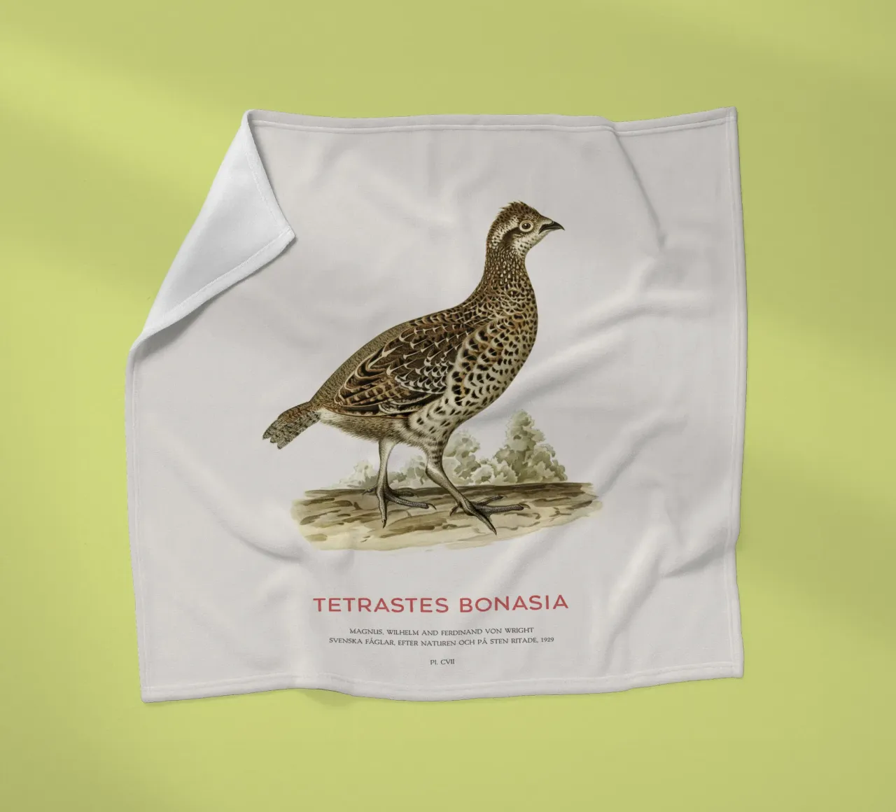 Fagiano di monte o Tetrastes bonasia coperta in pile da Vintagrafica