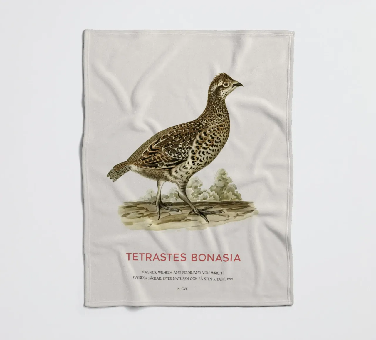 Fagiano di monte o Tetrastes bonasia coperta in pile da Vintagrafica