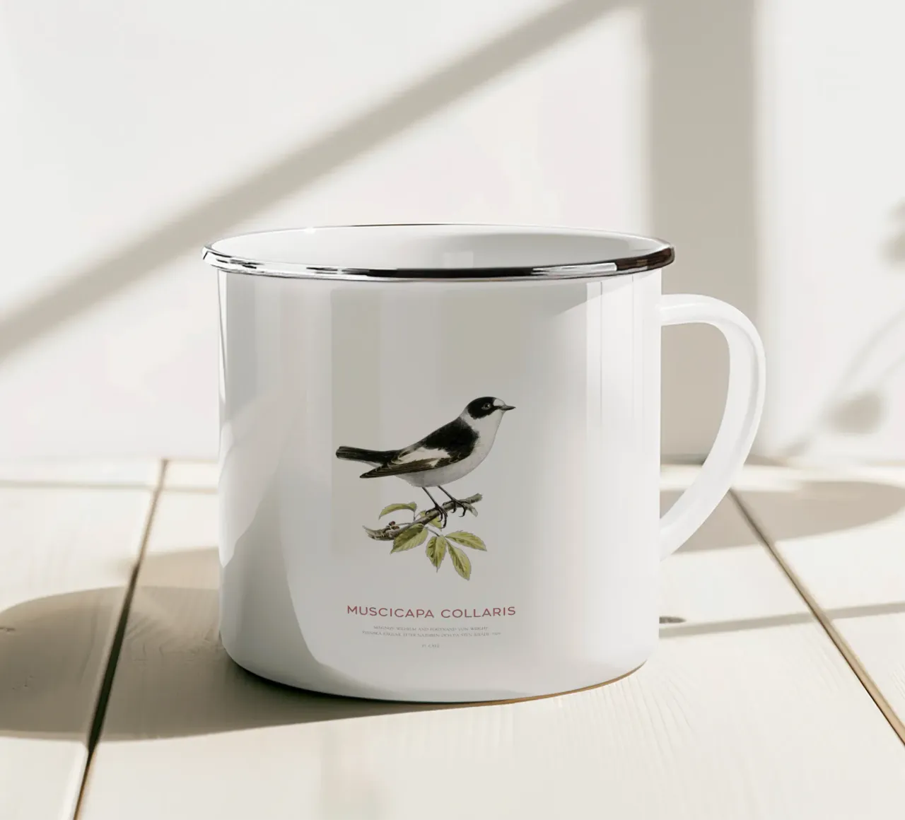 Pigliamosche dal collare o Muscicapa collaris tazza in smalto da Vintagrafica