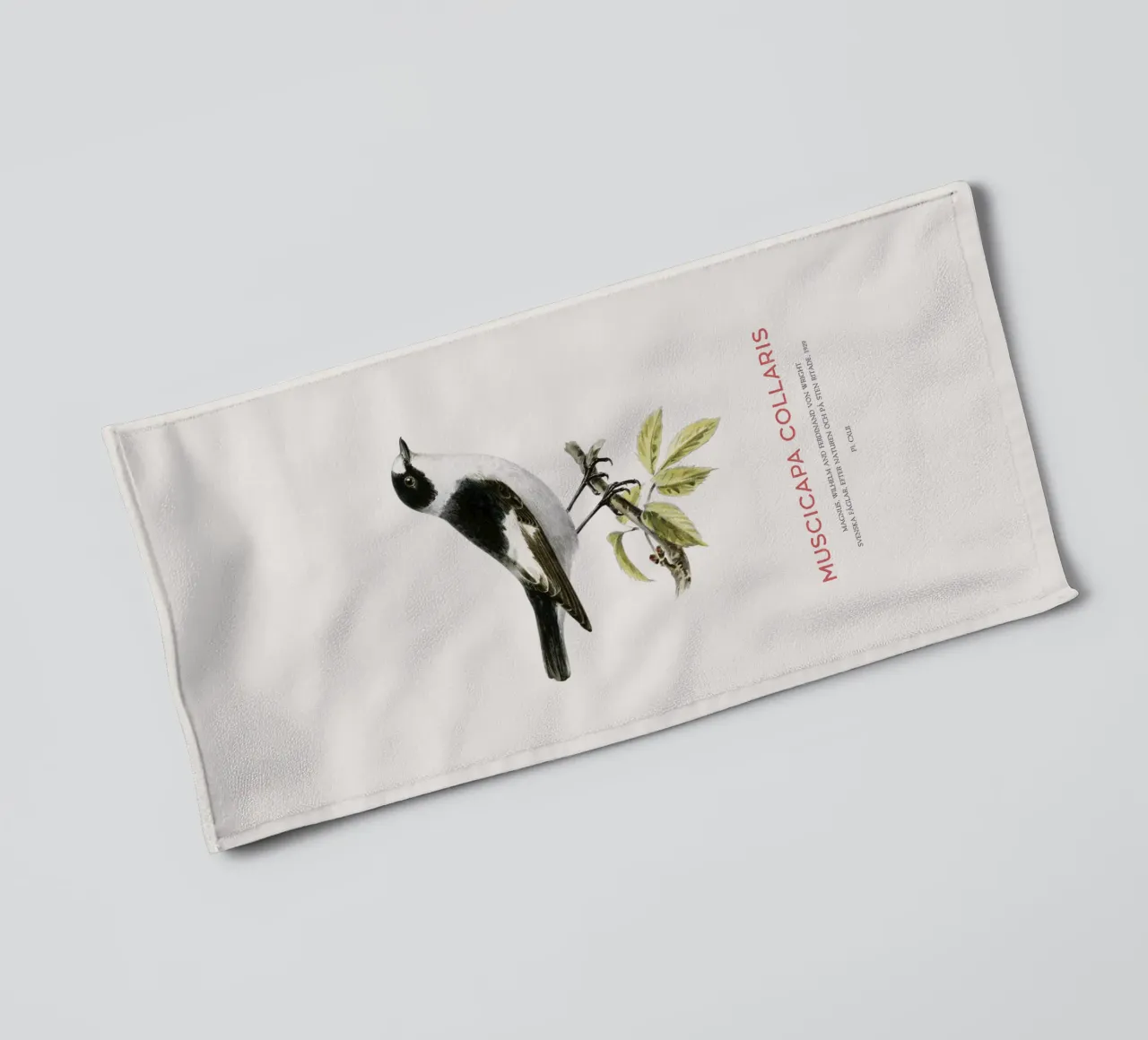 Halsbandschnäpper oder Muscicapa collaris Handtuch von Vintagrafica
