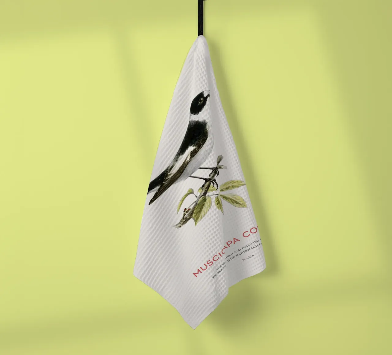 Pigliamosche dal collare o Muscicapa collaris canovaccio da cucina da Vintagrafica