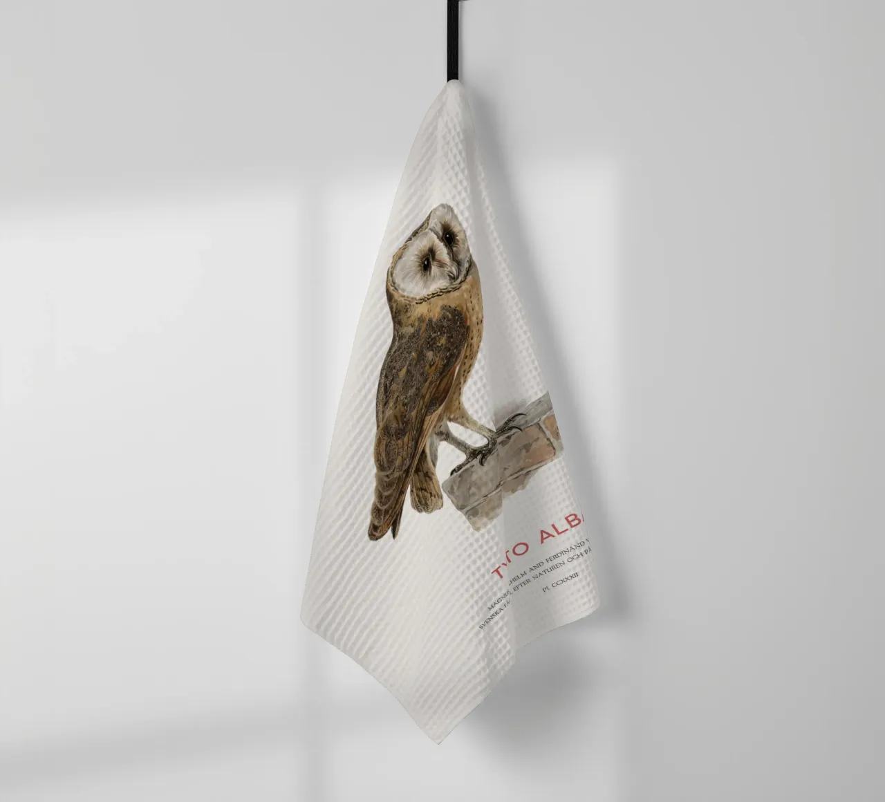 Barbagianni o Tyto alba canovaccio da cucina da Vintagrafica