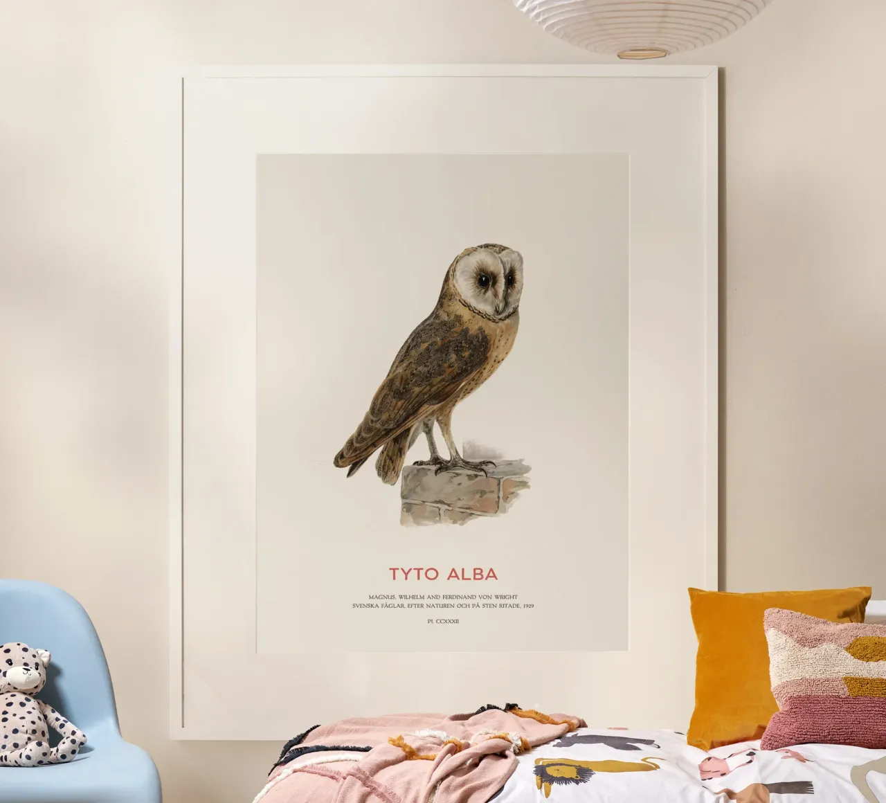 Schleiereule oder Tyto alba Poster mit Aluminium Rahmen von Vintagrafica