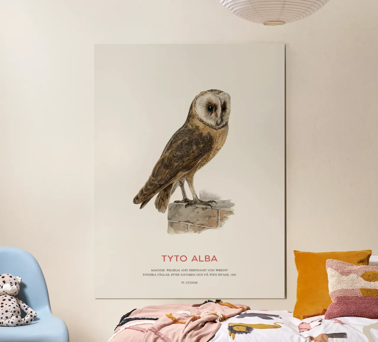 Schleiereule oder Tyto alba Poster mit Aluminium Rahmen von Vintagrafica