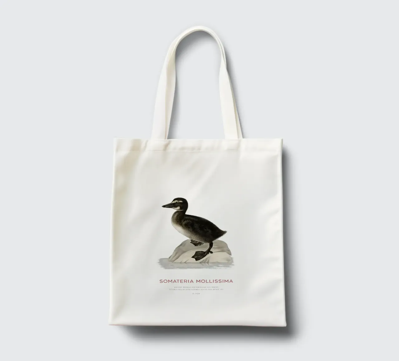 Eider à duvet ou Somateria mollissima tote bag de Vintagrafica