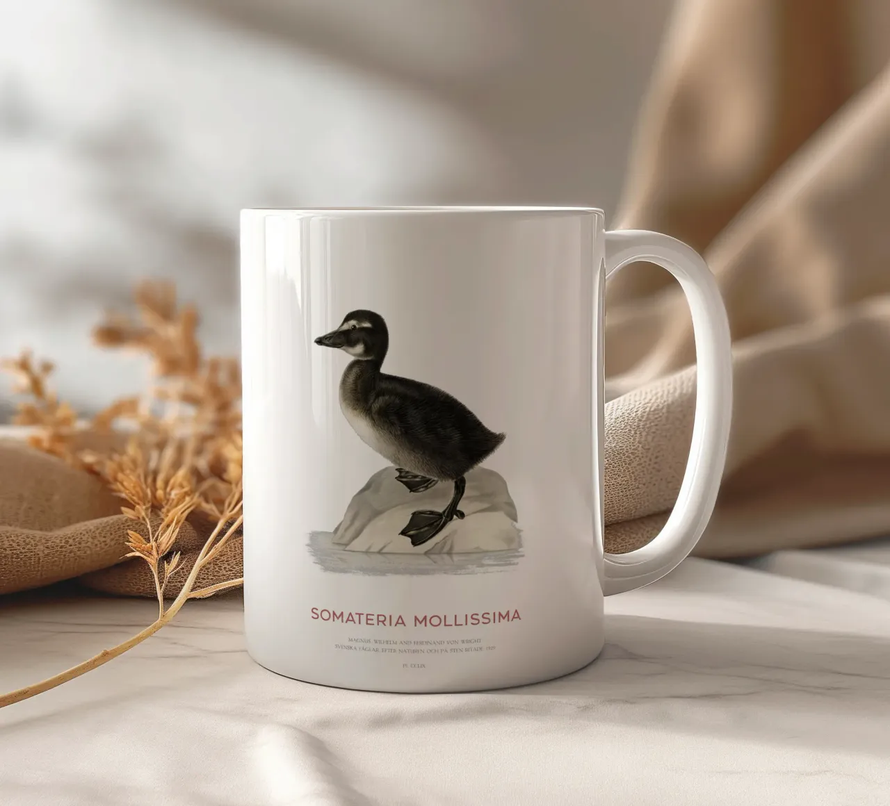 Edredone comune o Somateria mollissima tazza in ceramica da Vintagrafica