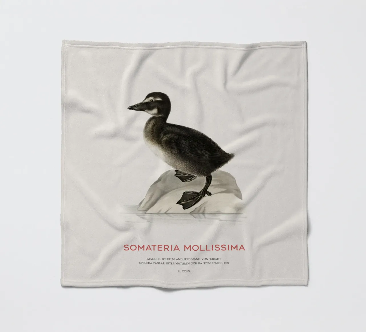 Eider común o Somateria mollissima manta de franela de Vintagrafica