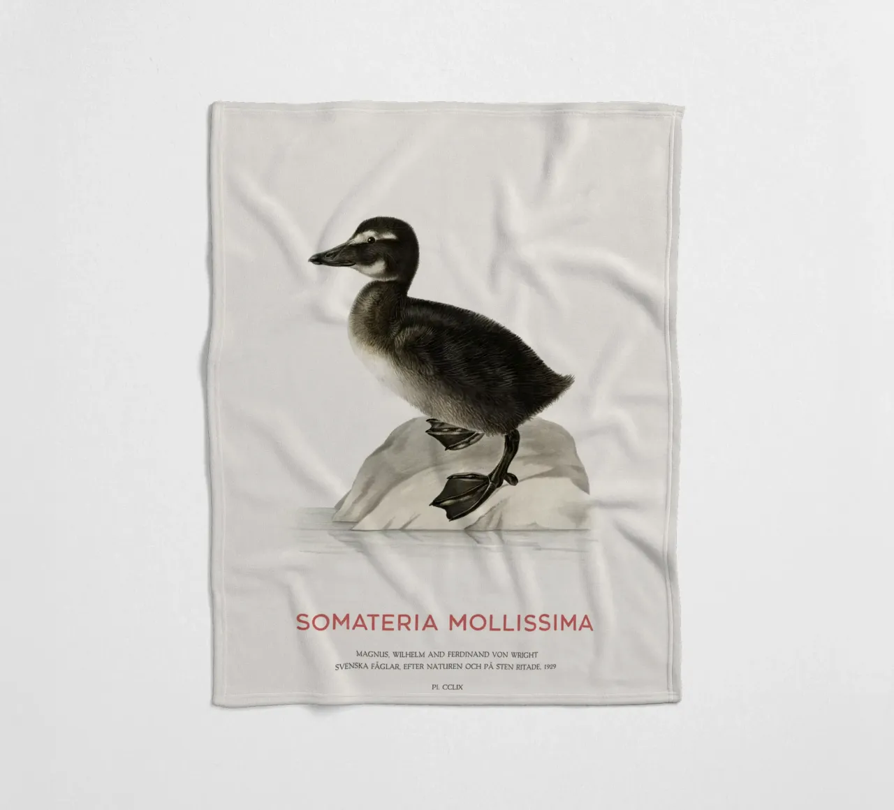 Eider común o Somateria mollissima manta de franela de Vintagrafica