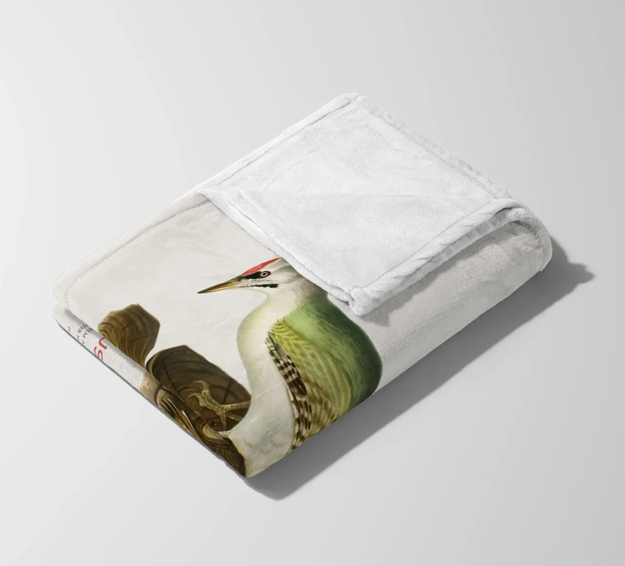 Graukopfspecht oder Picus canus Fleecedecke von Vintagrafica