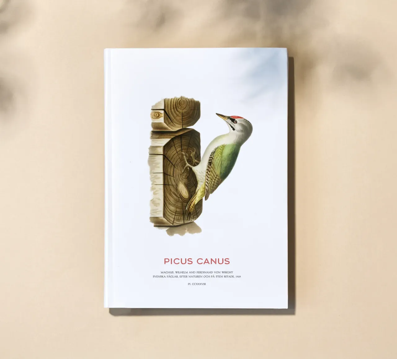 Grey-headed woodpecker or Picus canus notebook by Vintagrafica