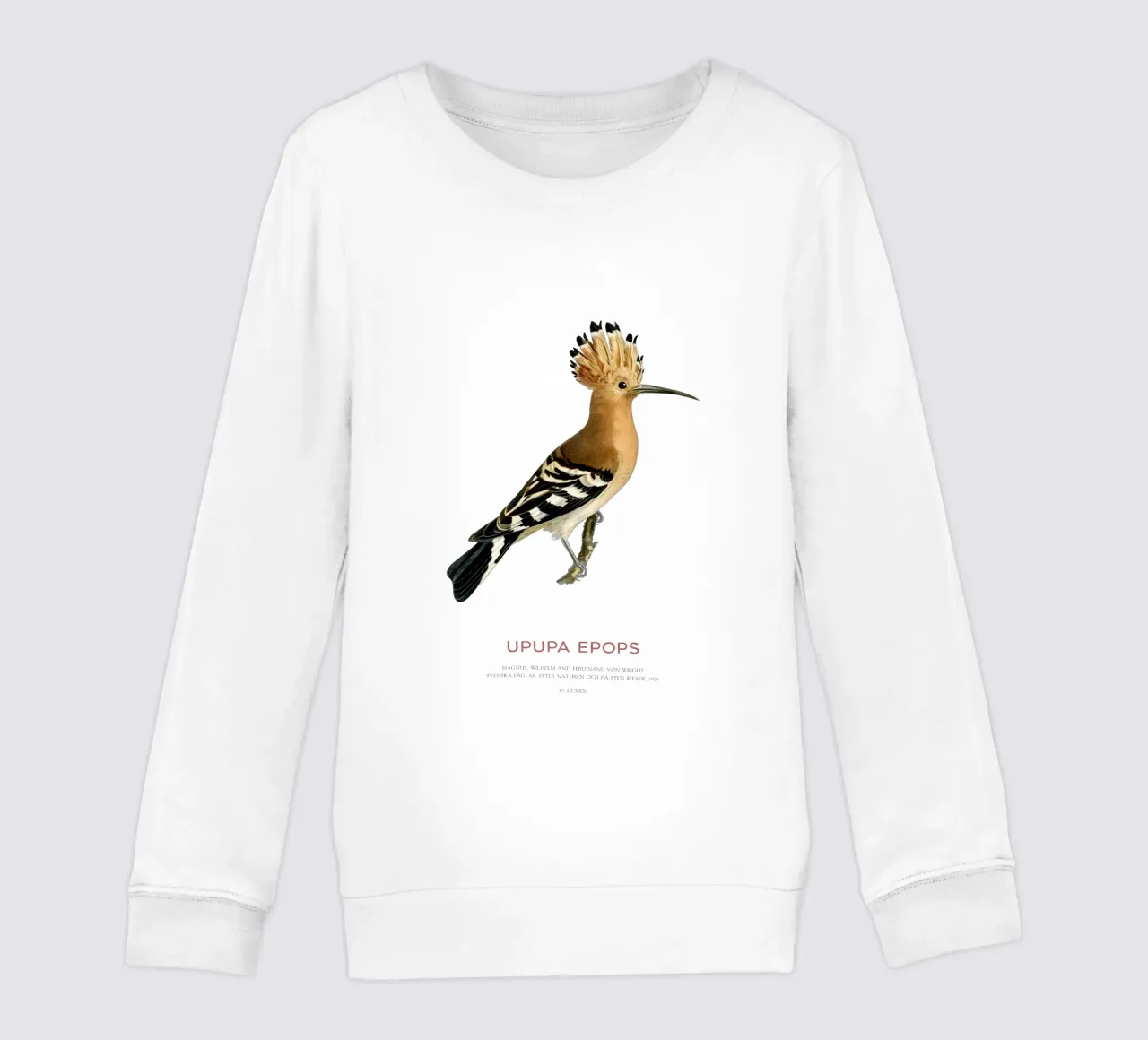 Eurasian hoopoe or Upupa epops kids sweatshirt by Vintagrafica