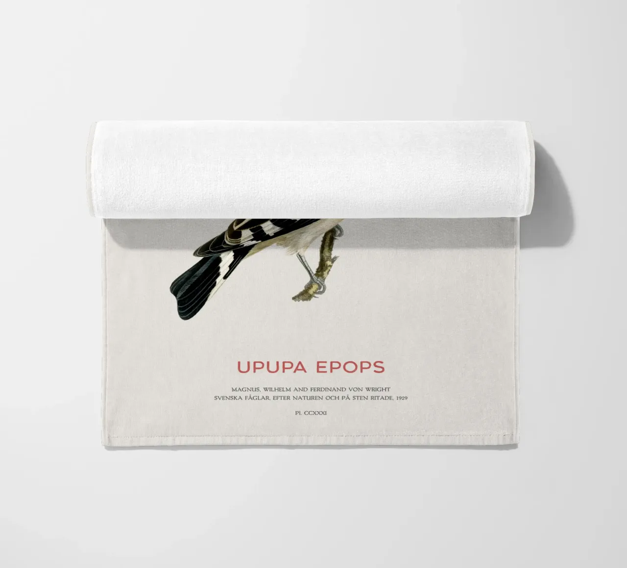 Upupa eurasiatica o Upupa epops telo mare da Vintagrafica