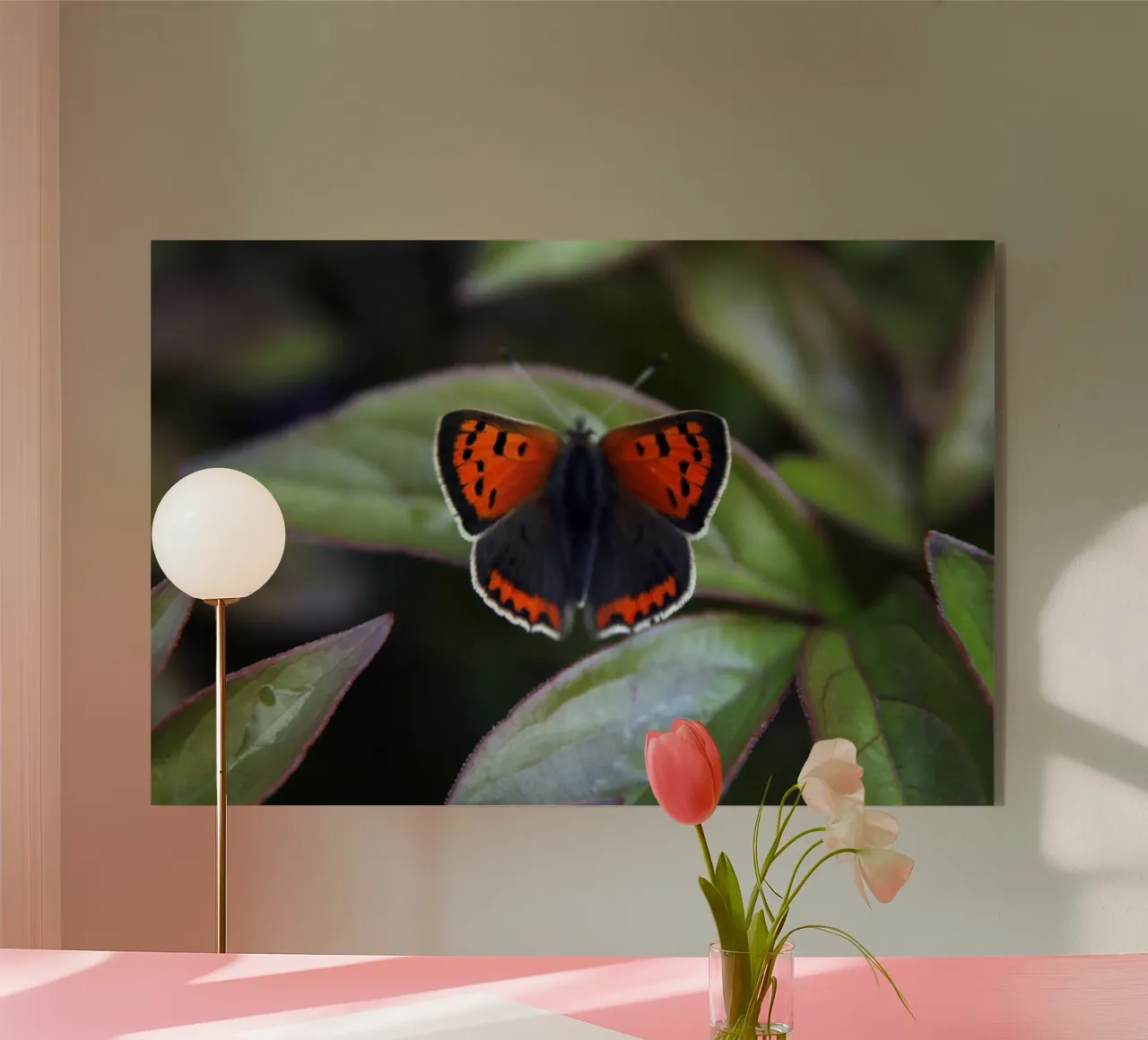 Piccola farfalla di fuoco plexiglass da eyes & tries