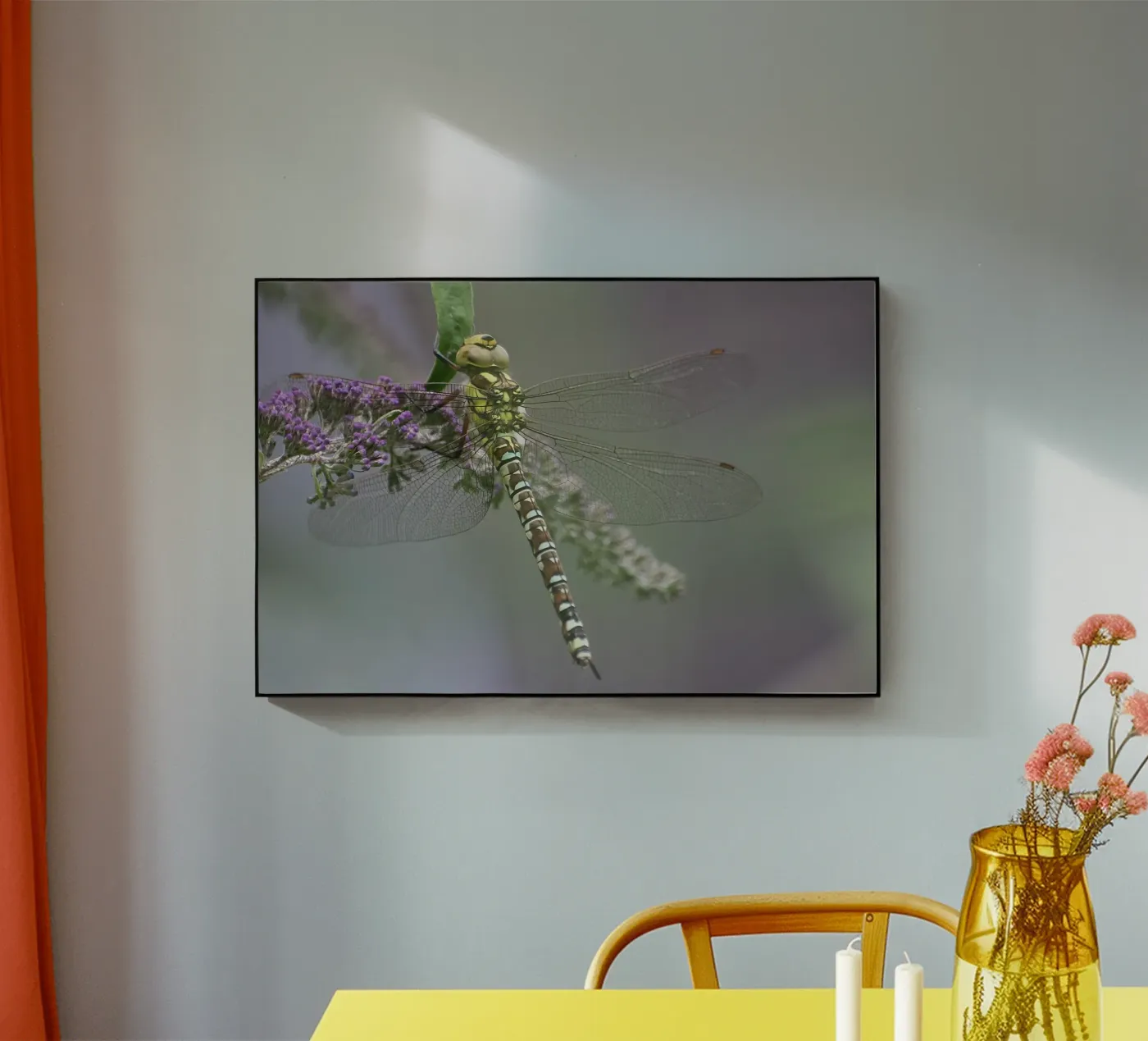 Libelle acryl van eyes & tries