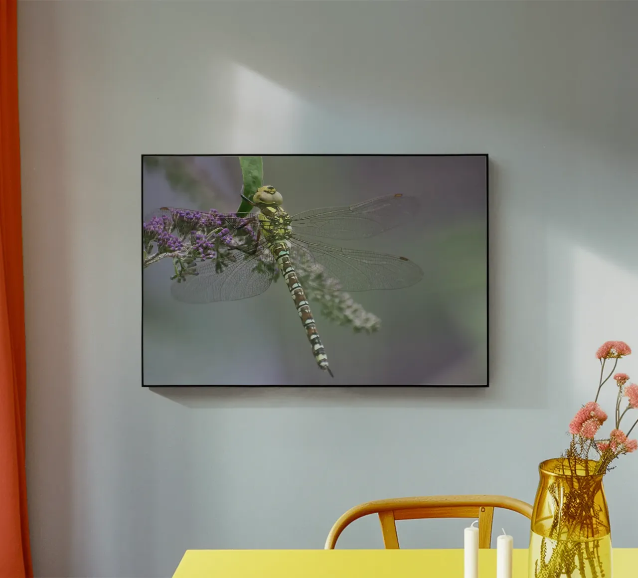 Libellula plexiglass da eyes & tries