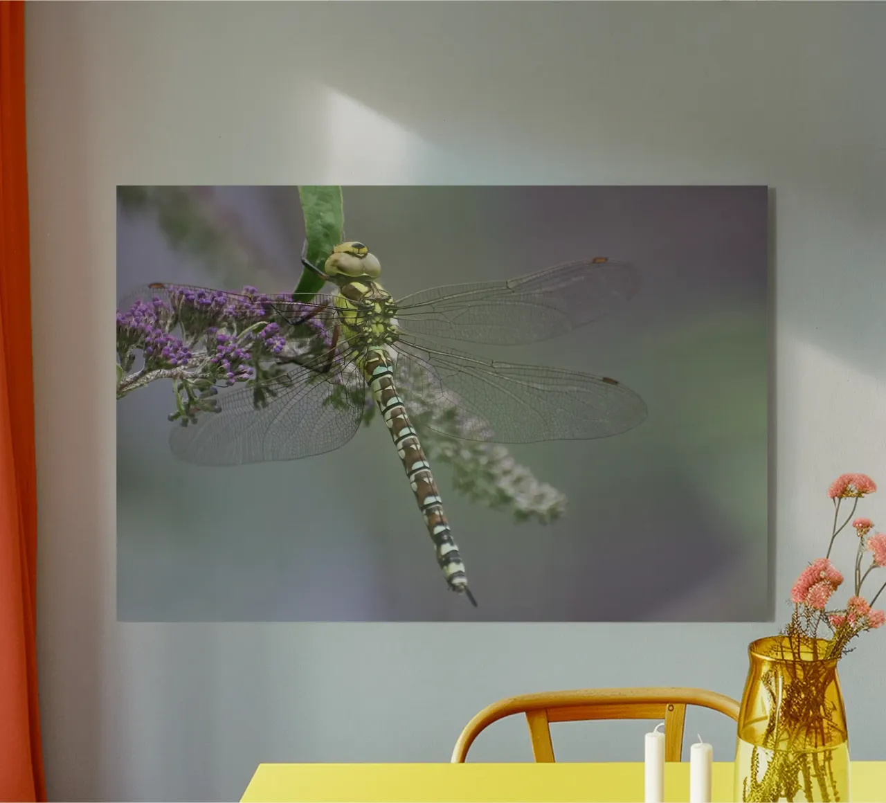 Libellula plexiglass da eyes & tries