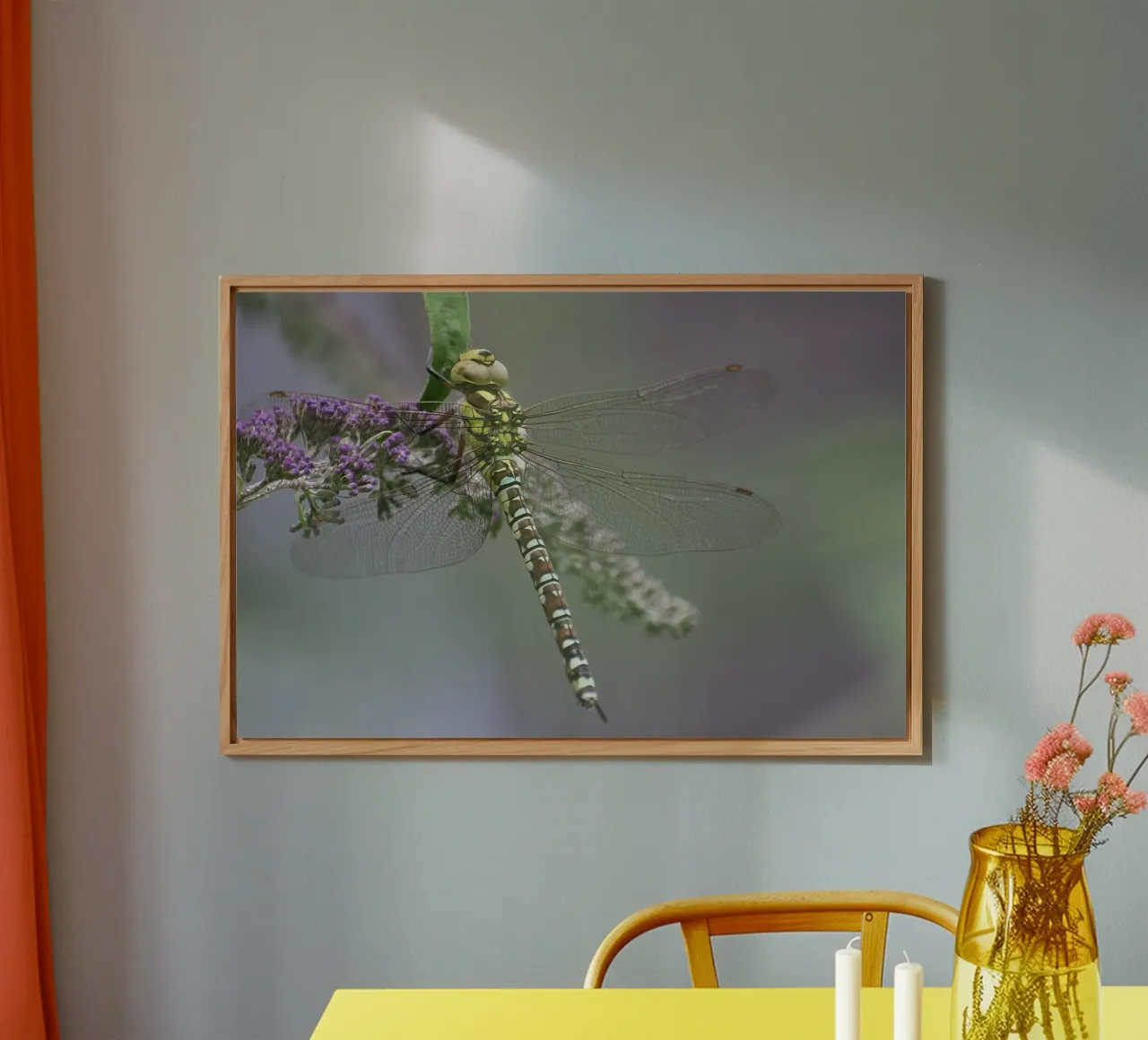 Libellula pannello forex da eyes & tries