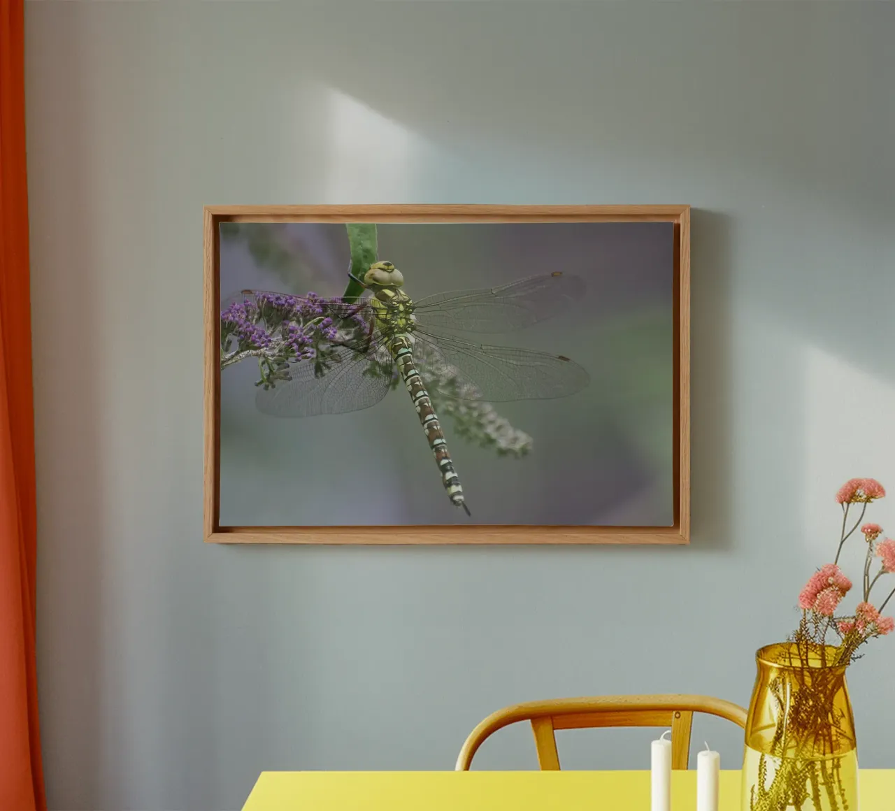 Libellula tela con Cornice a cassetta da eyes & tries