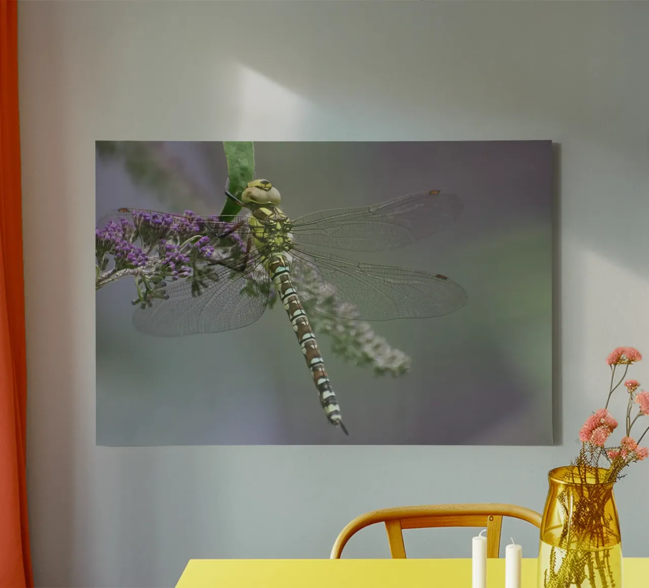 Libellula tela con Cornice a cassetta da eyes & tries