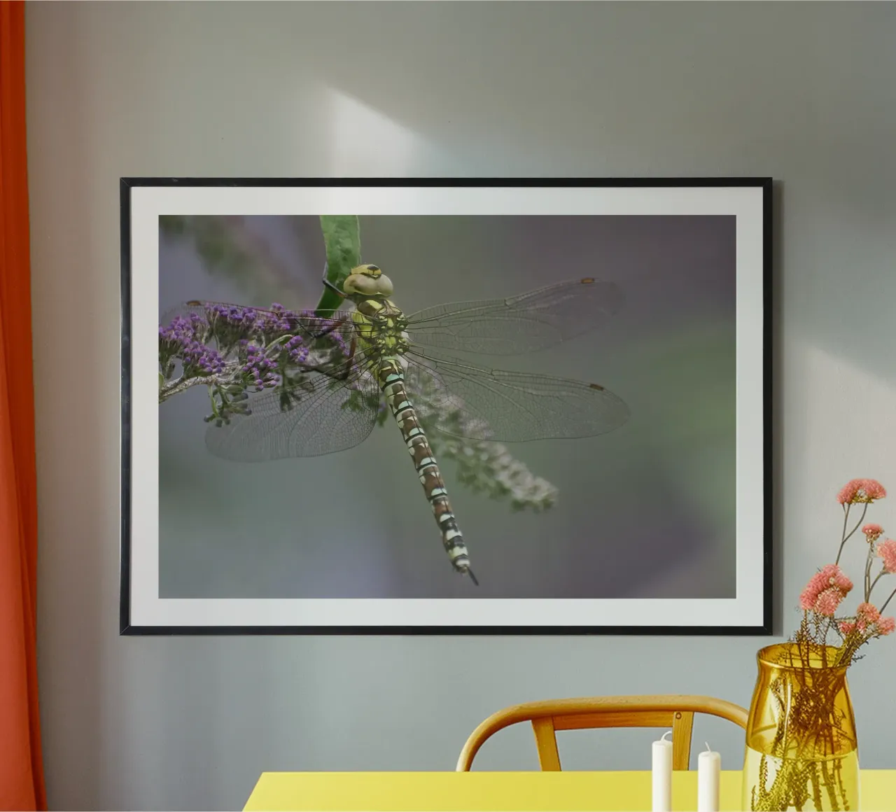 Libelle poster van eyes & tries