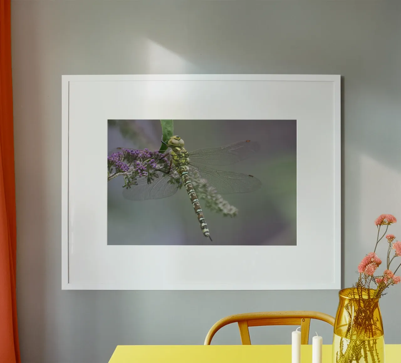 Libelle poster van eyes & tries